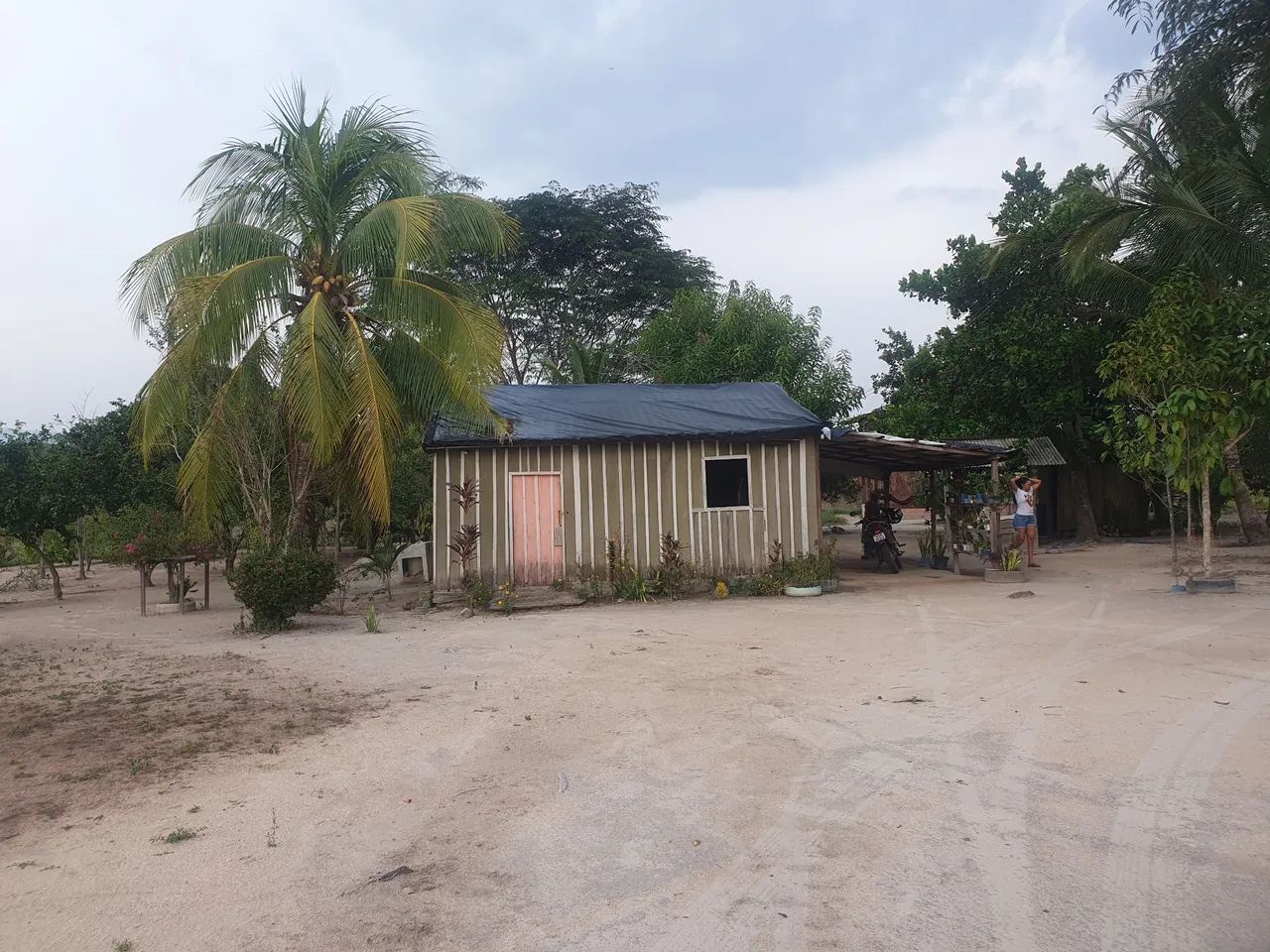 Vendo ou troca lote com 60 hectares na 432 a 18 km da vila Novo Paraíso(500).  - Foto 5