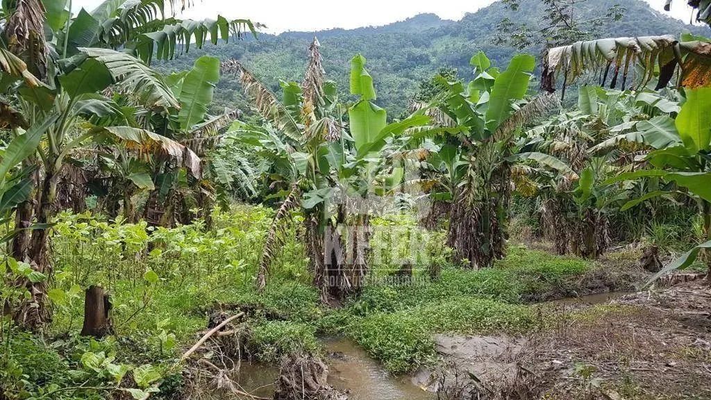 Fazenda à venda, 840281 m² por R$ 4.500.000,00 - Mazomba - Itaguaí/RJ - Foto 4