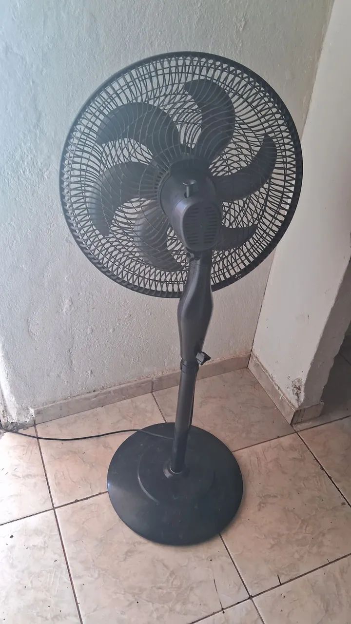 MALLORY FORTE  - Foto 2