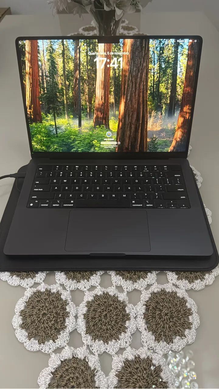 MacBook Pro M4 16 Gigas 2025 ( Bateria 100%, ainda na garantia da Apple )
