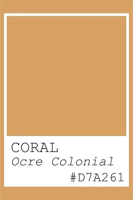 Tinta Coral Renova Fosco Ocre Colonial 16L - Foto 4