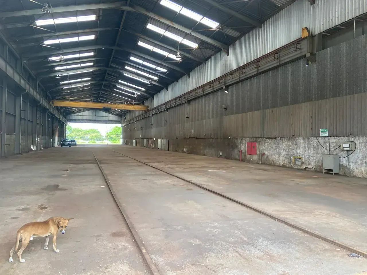 Imóvel para aluguel possui 47000 metros quadrados em Distrito Industrial - São Luís - MA - Foto 3
