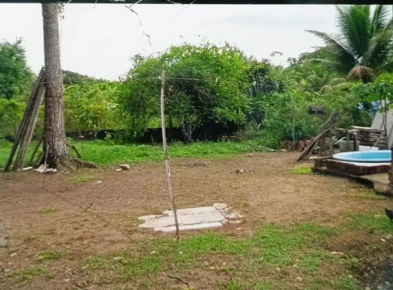 VENDO SÍTIO EM ALDEIA - Foto 5