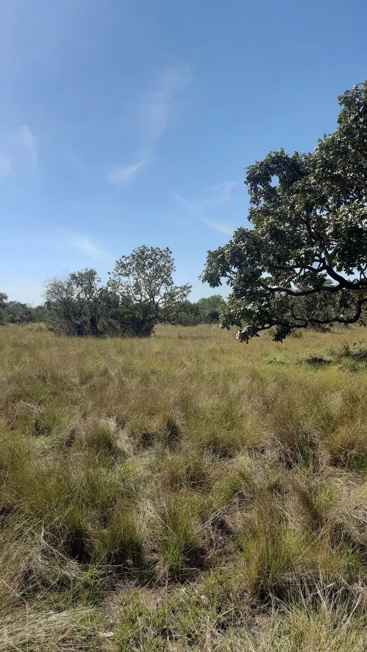 Fazenda em Cocalinho MT 338 alq. - Foto 4