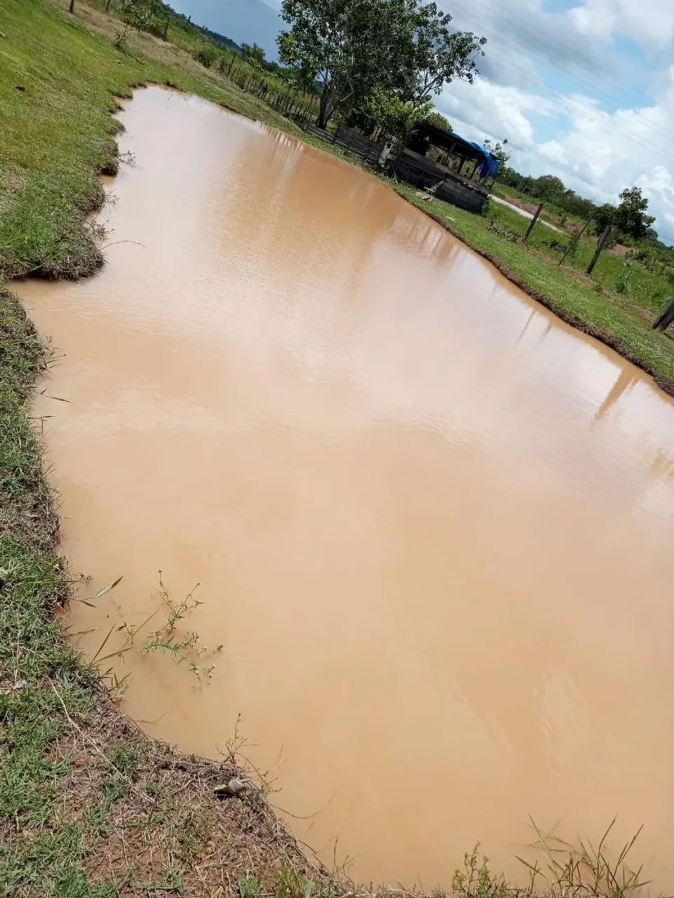 Vendo chácara bem localizada a 15 km de Alenquer  - Foto 5
