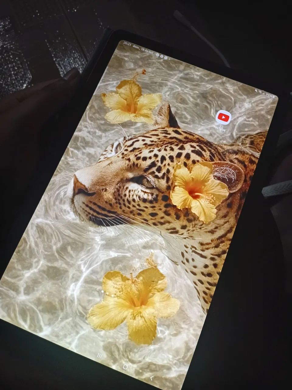 Galaxy Tab S6 Lite