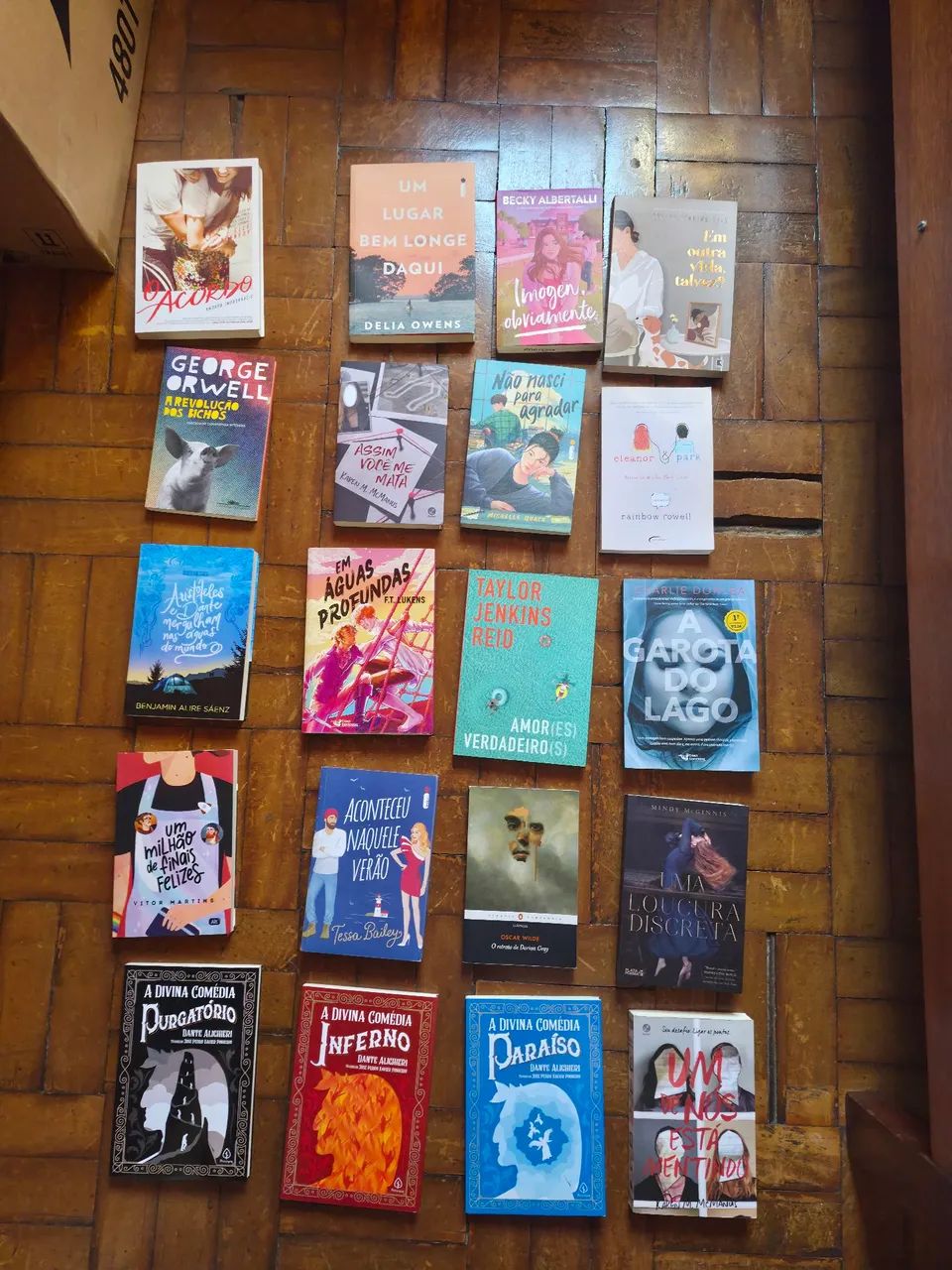 Caixa com 38 Livros