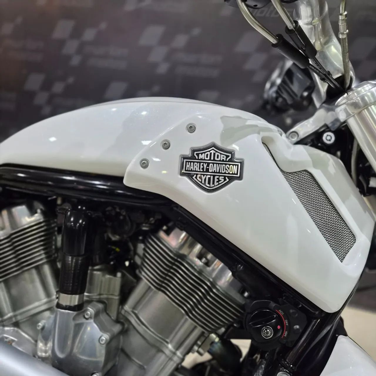 V-ROD 1250cc MUSCLE VRSCF - Foto 5