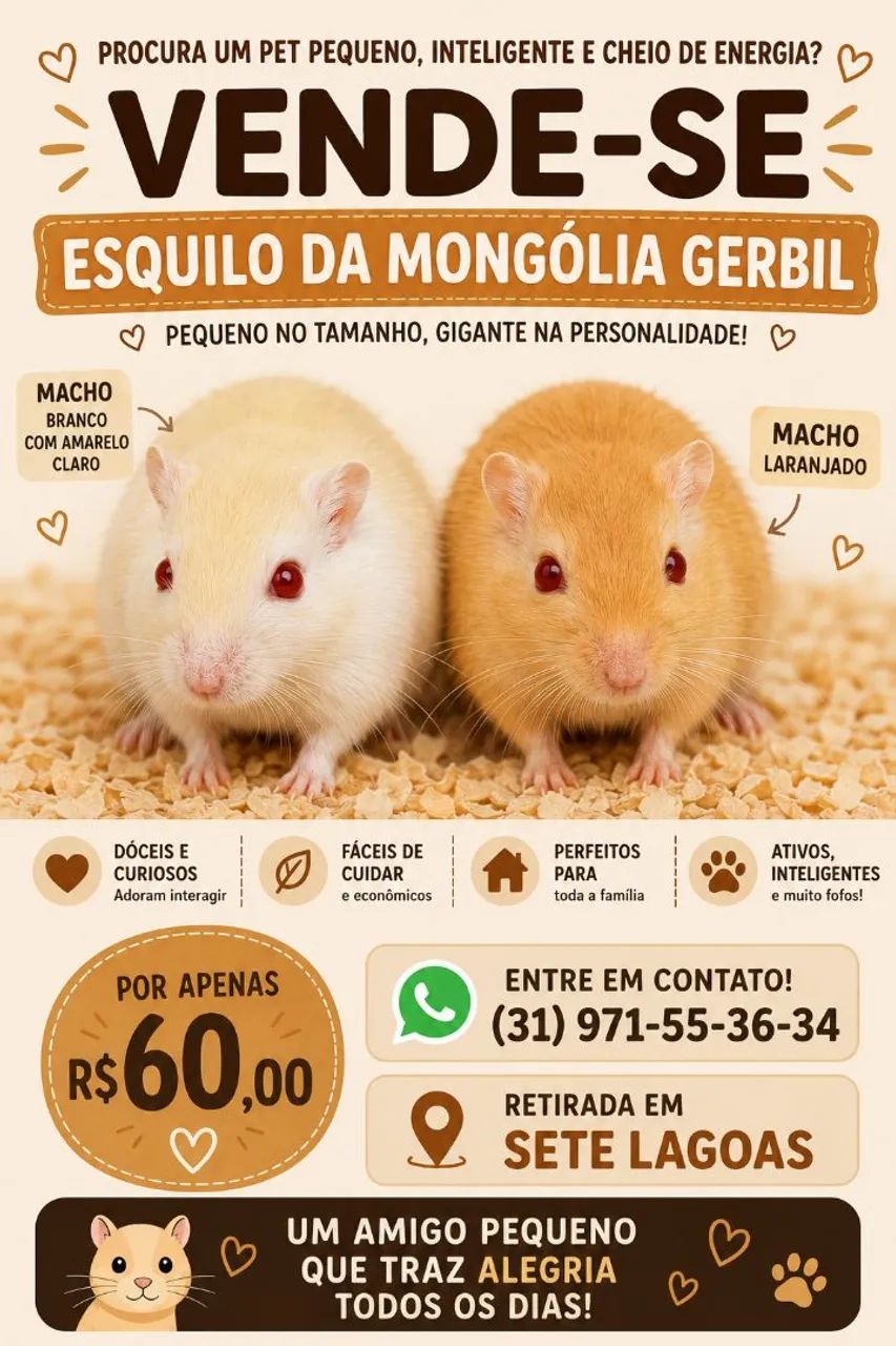 esquilo da Mongólia guerbios