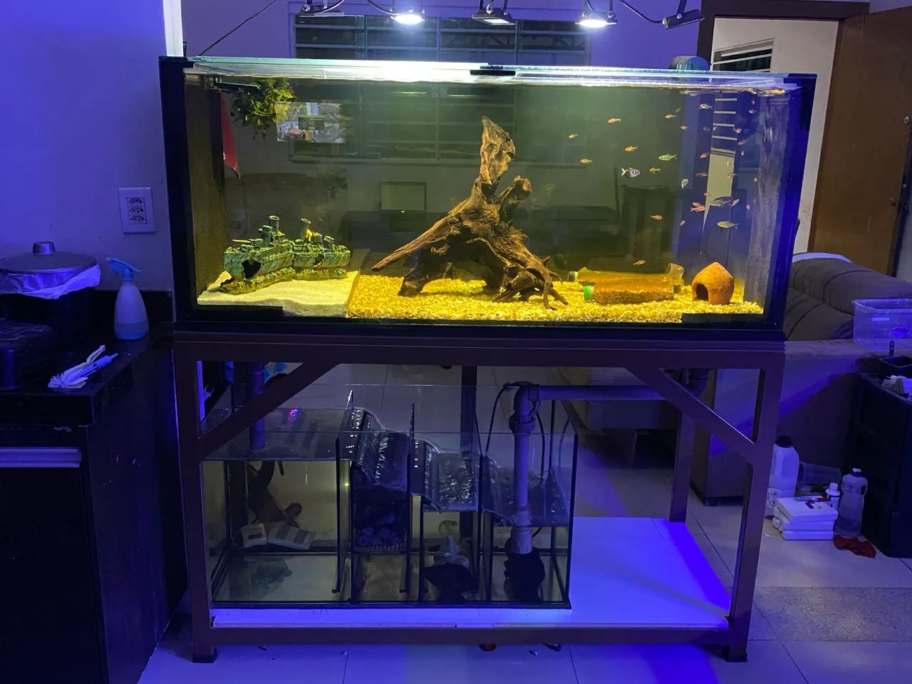 Aquário  - Foto 2