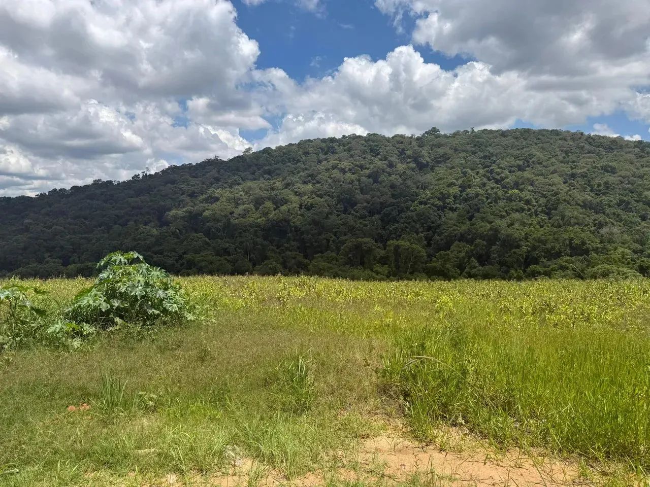 Imóvel para venda com 1000 metros quadrados em Rio de Una - Ibiúna - SP - Foto 14