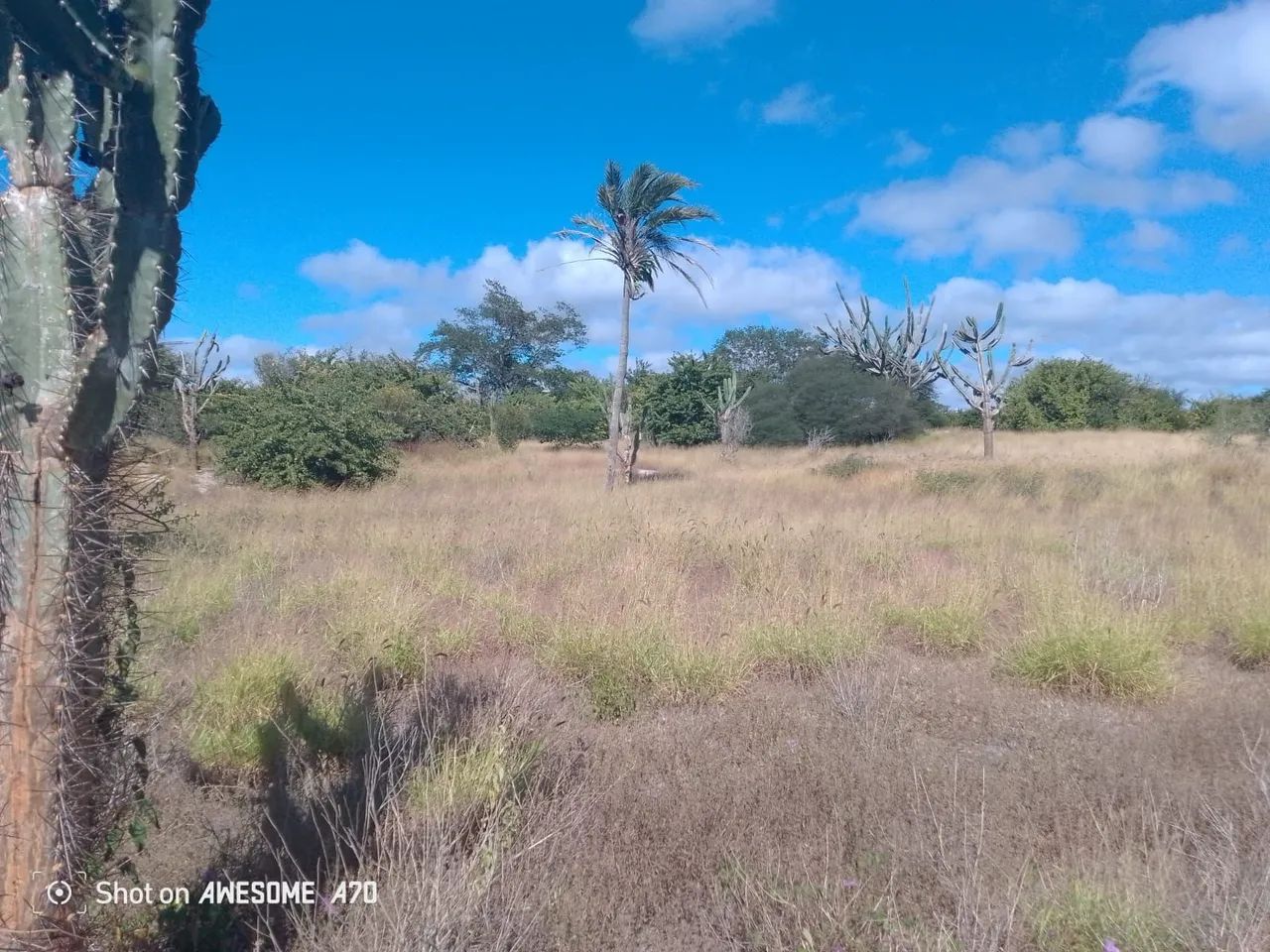 Fazenda em Morro de Chapéu  - Foto 5