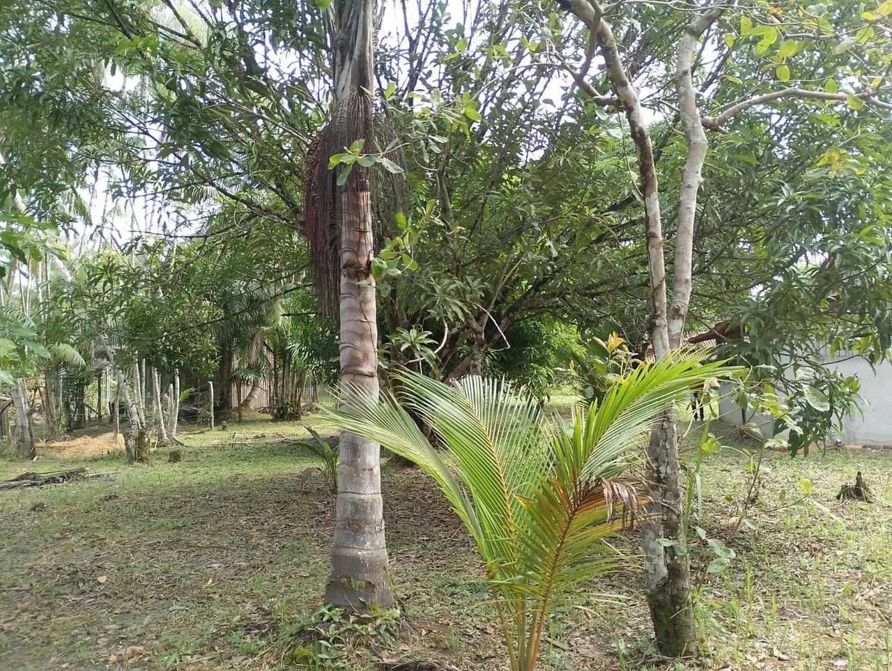 Vendo Casa  - Foto 3
