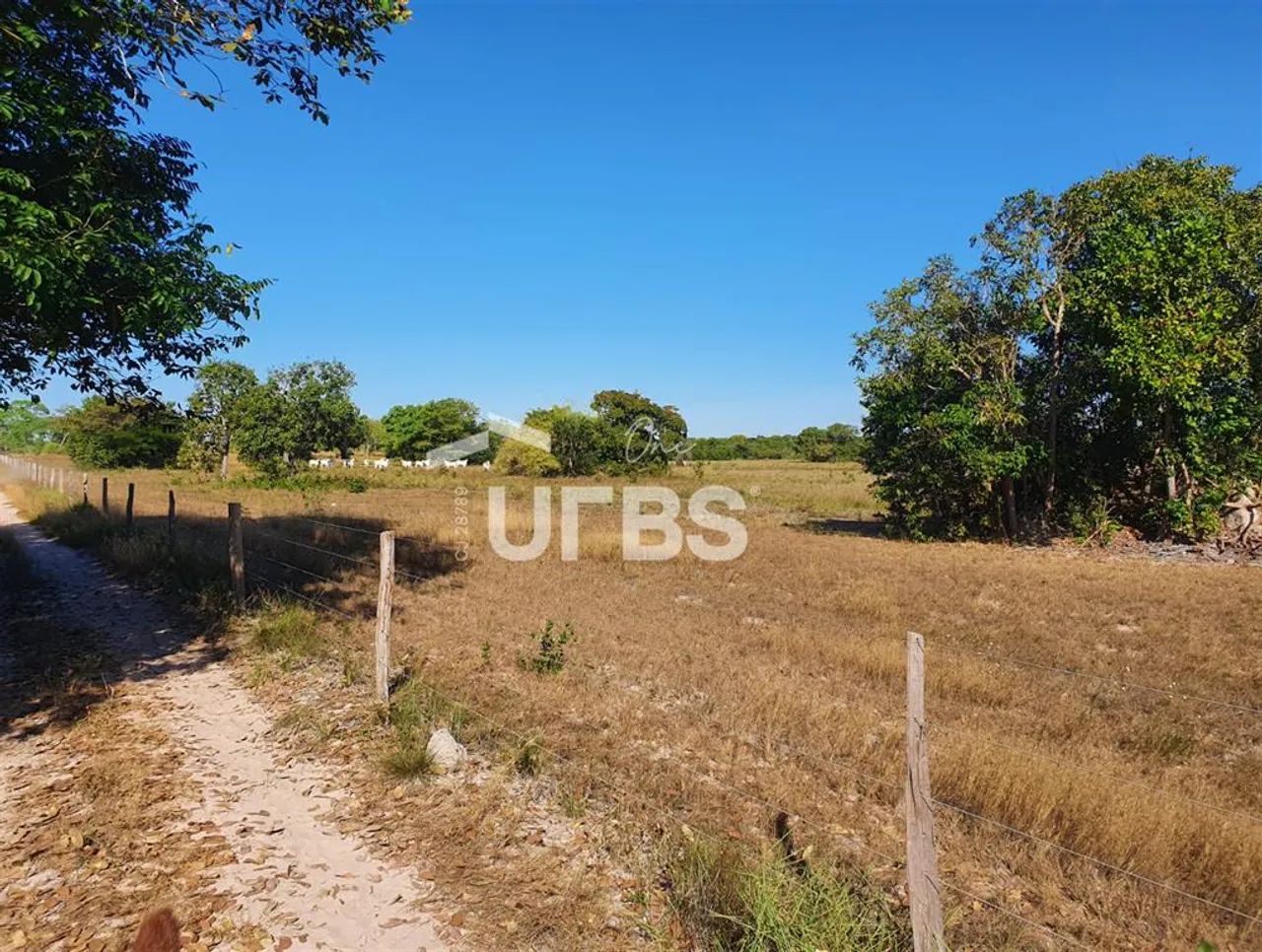 FAZENDA EM COCALINHO/MT - Foto 5