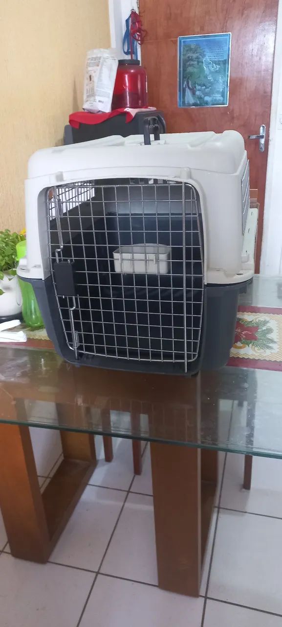 CAIXA TRANSPORTADORA PETZ - Foto 2