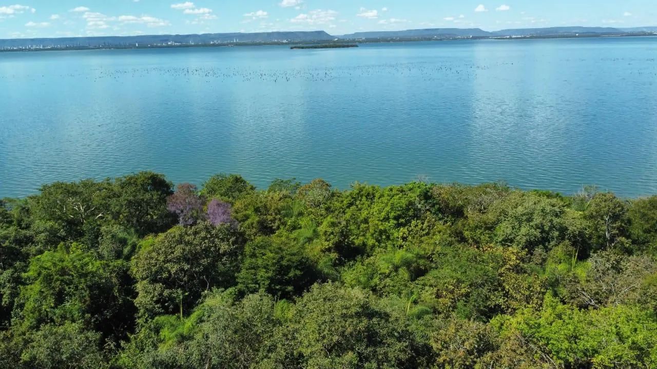 Chácara Beira Lago de Palmas  - Foto 4