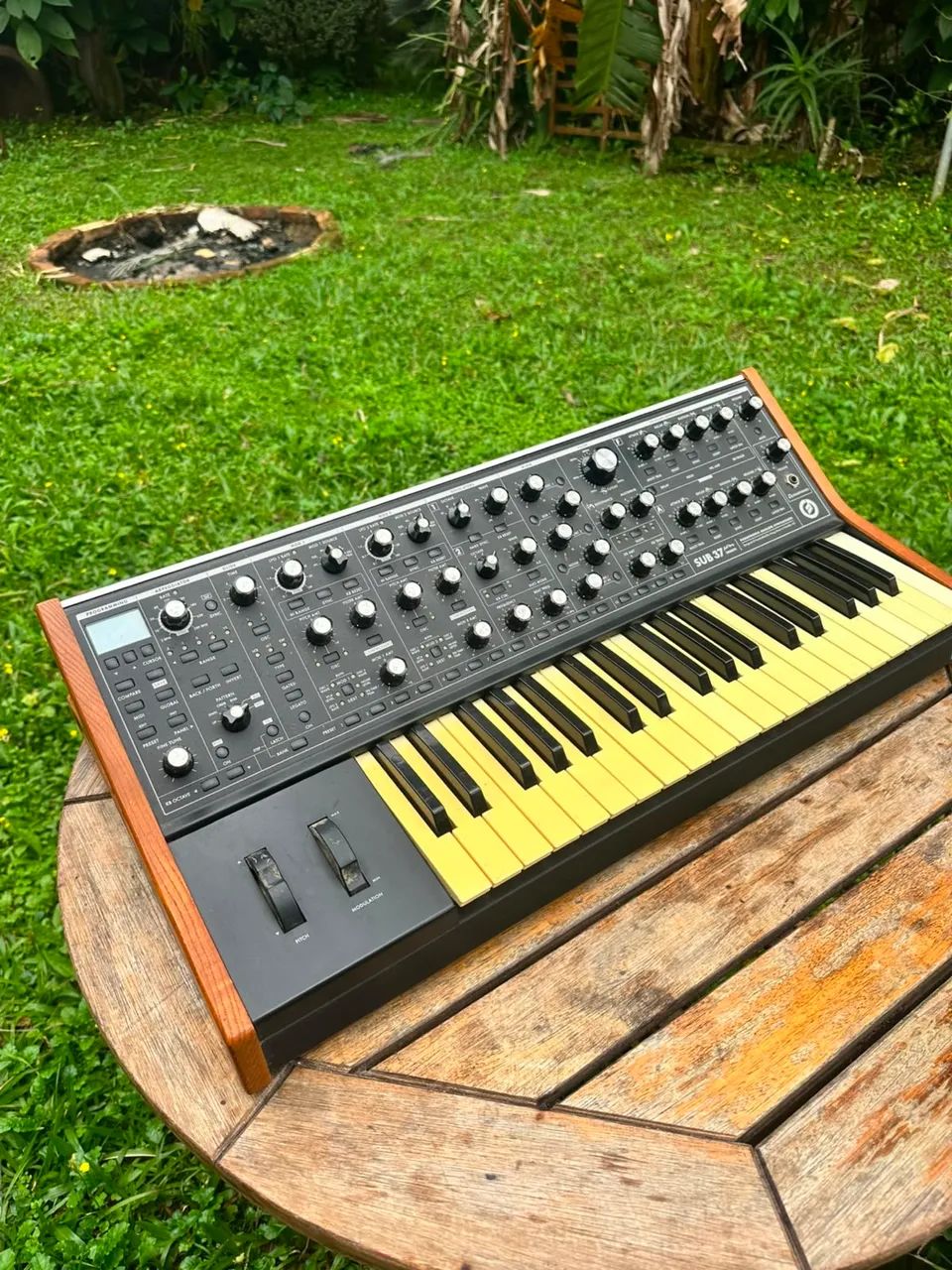 Moog subsequente - Foto 2
