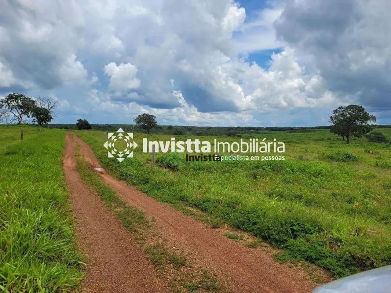 Fazenda de 532 alqueires com dupla aptidão na região de Pedro Afonso - Foto 2