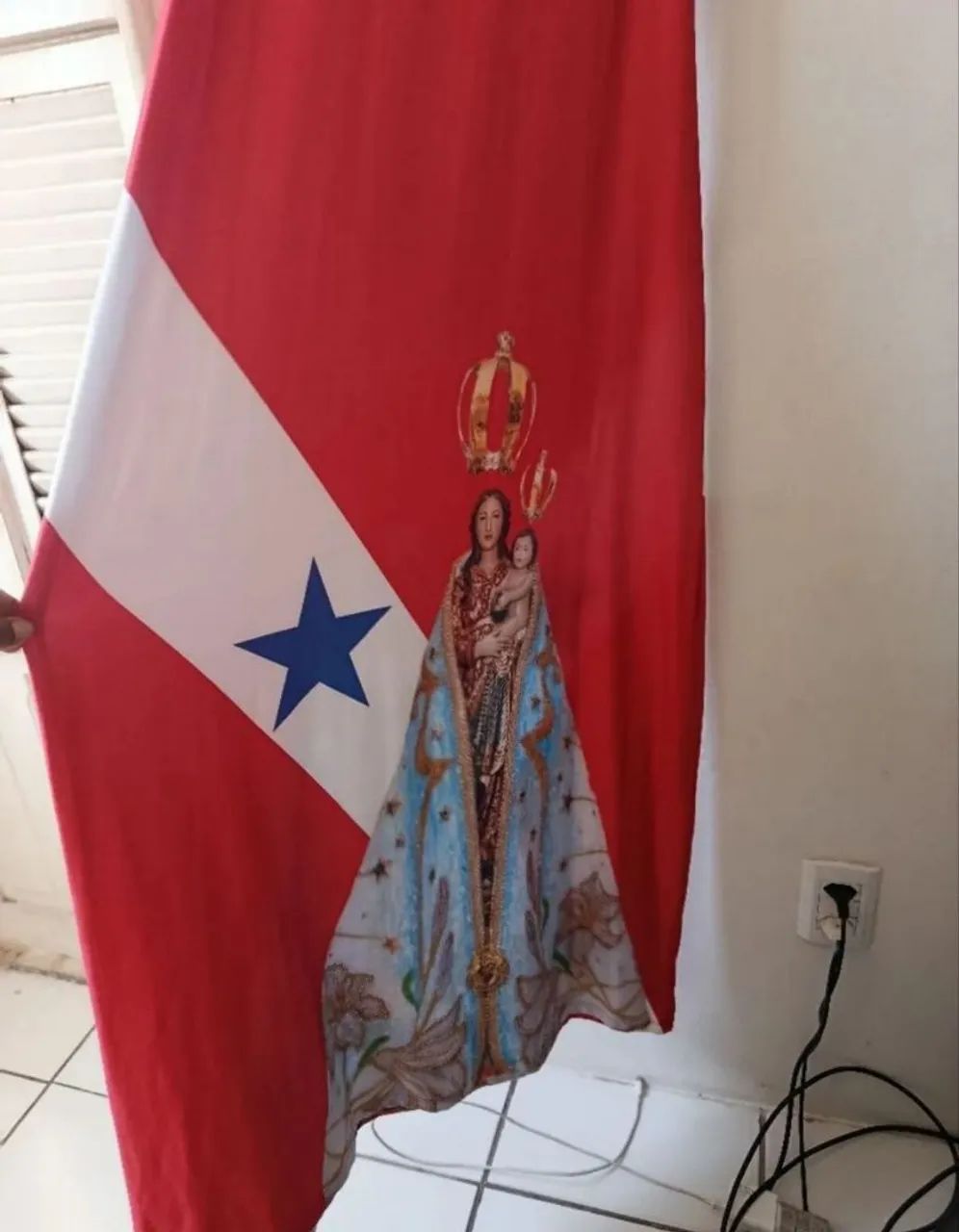Vestido Bandeira do Pará  - Foto 2