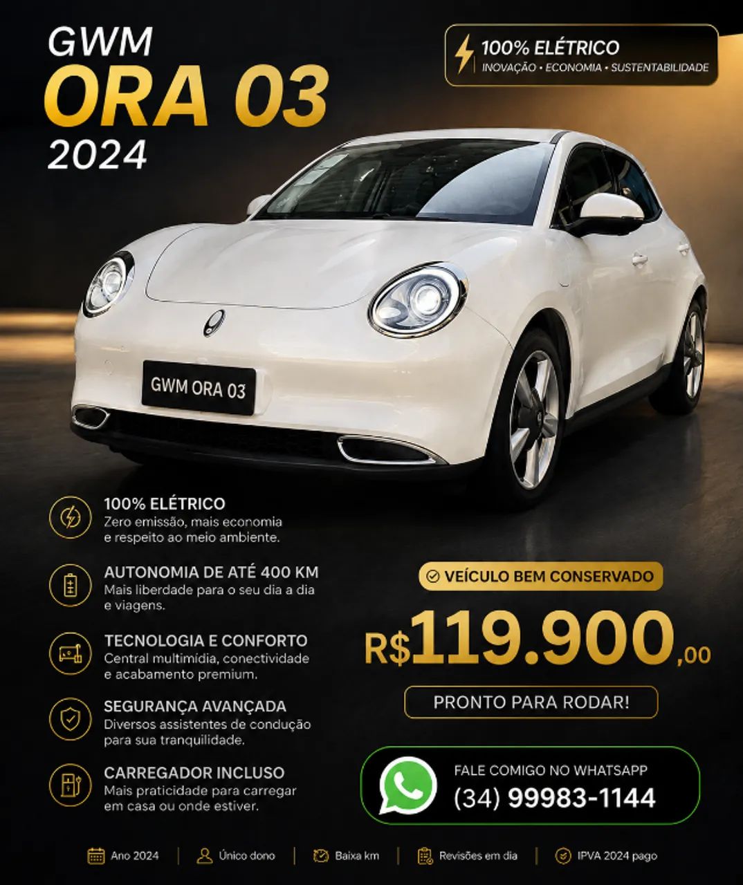 GWM Ora 03 Ora 03 Skin (Elétrico) 2024