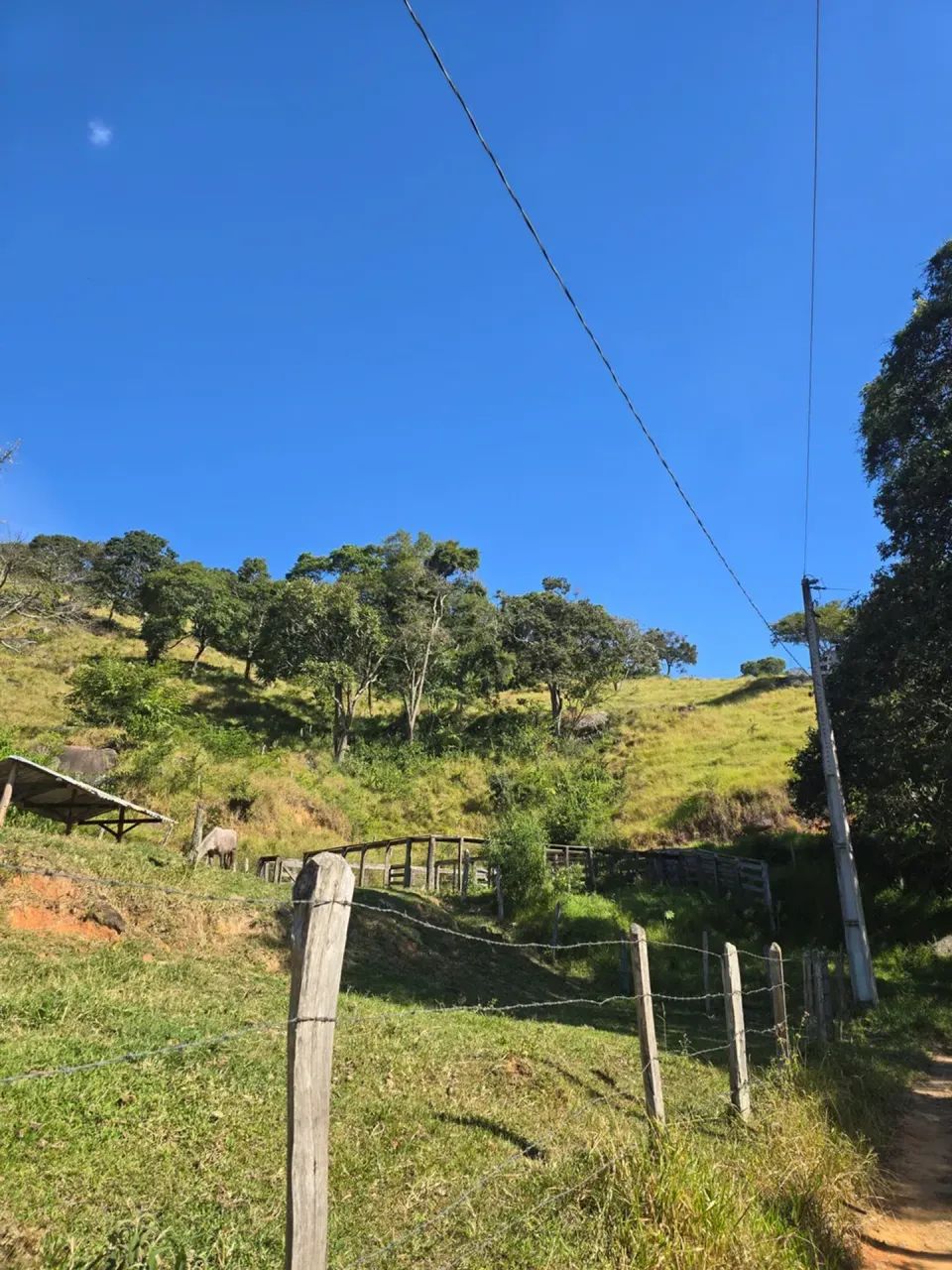 Sitio de 5 alqueires  na cidade  de Itapeva-MG - Foto 3