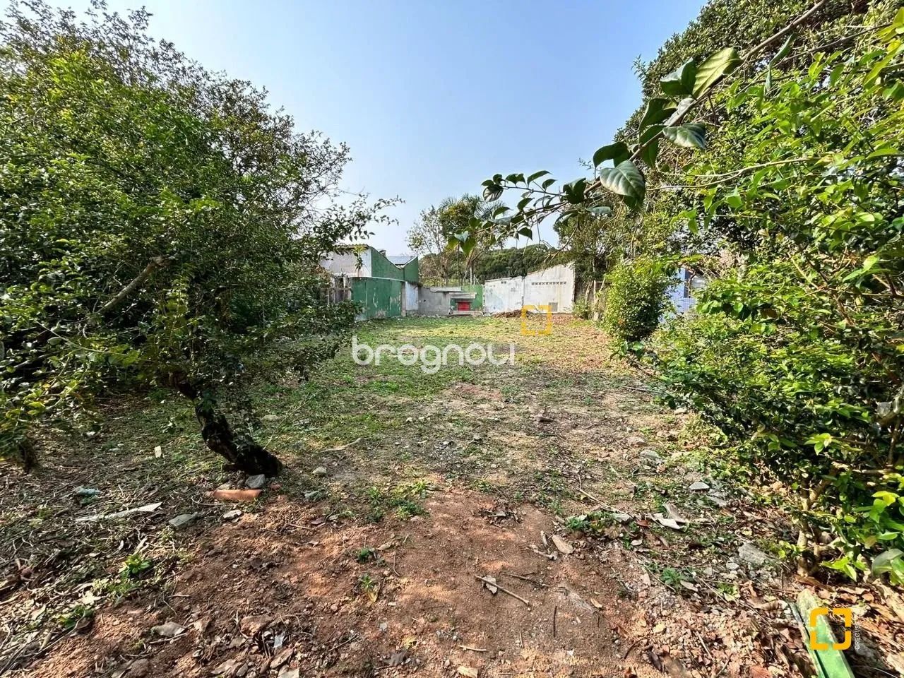 Terreno à venda no Campeche - Florianópolis - Foto 4