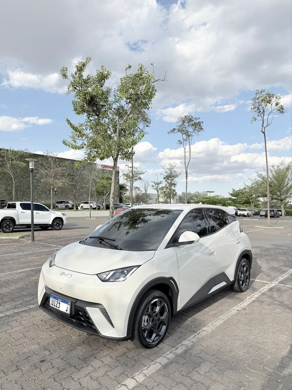 BYD Dolphin Mini (Elétrico) 2027 - Foto 4