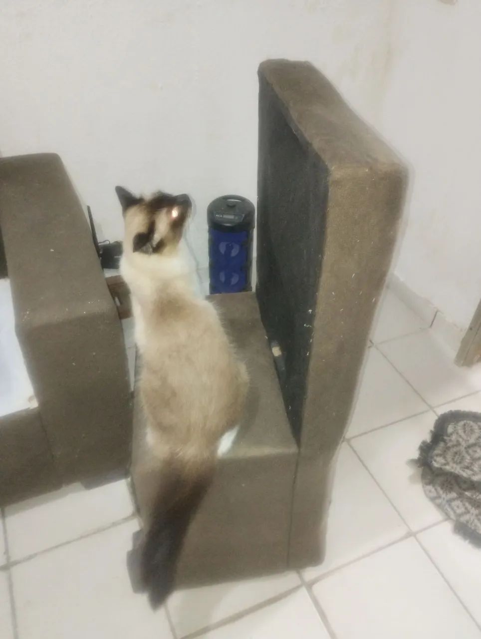 Reforma de um sofá de três lugares  - Foto 4