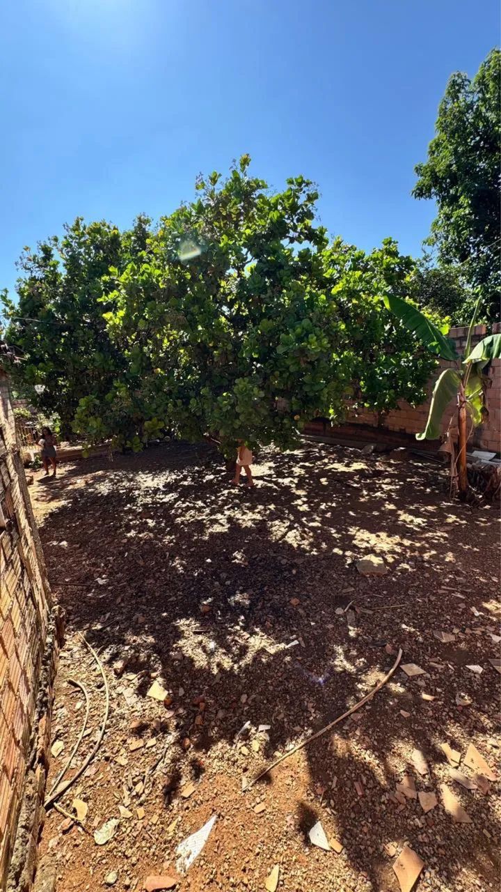 Foto - Novo Gama - Residencial Alvorada