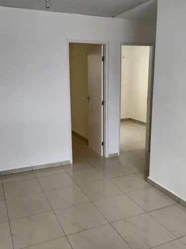 Jequitibá aracruz - Foto 2