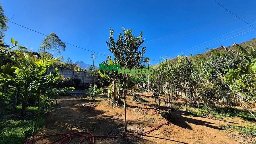 CHÁCARA FORMADA COM POMAR Á VENDA EM PIQUETE-SP - Foto 4