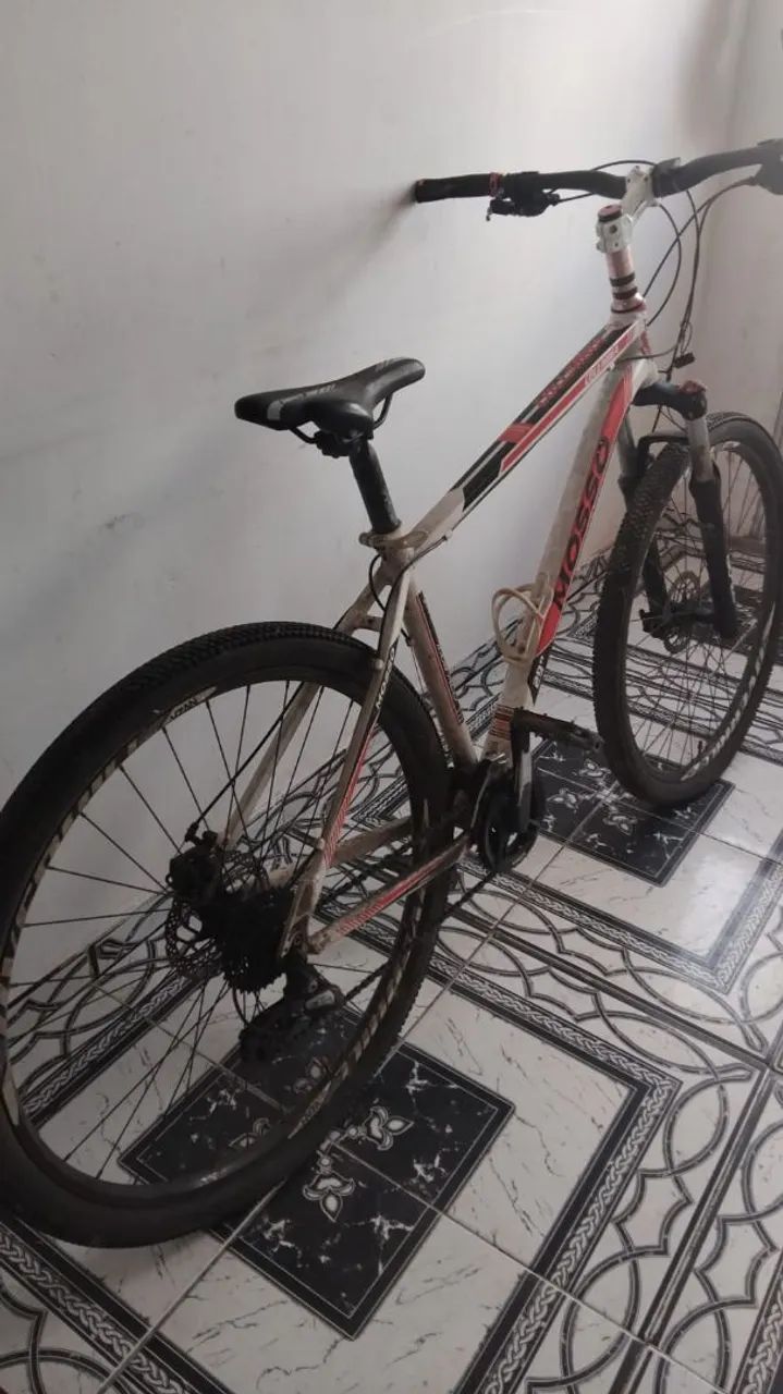 BIKE ARO 29