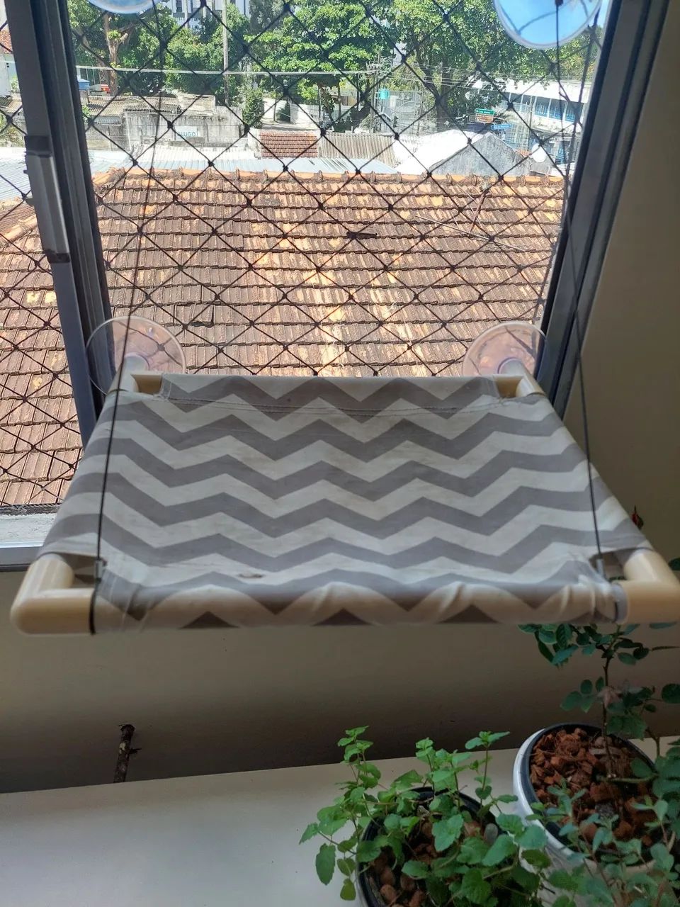 Caminha para gatos 