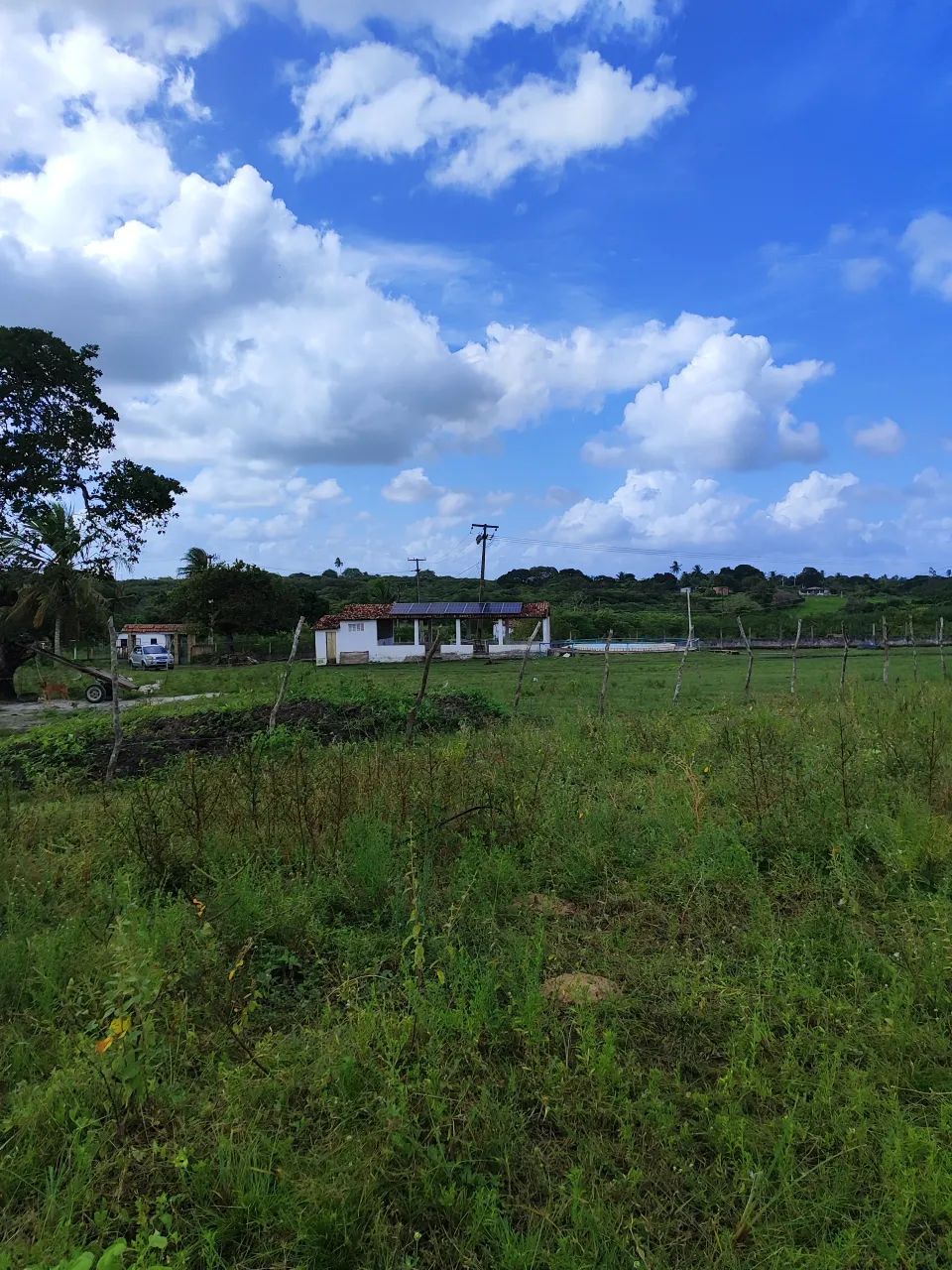 fazenda com 40 hectares em vera cruz-RN