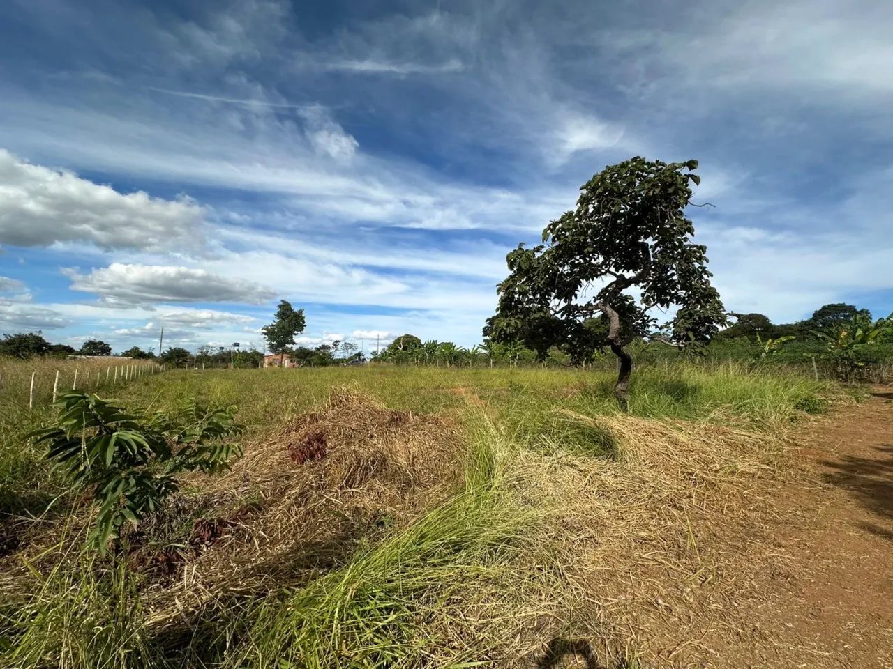 Chácara de 2.400m em Hidrolandia  - Foto 5