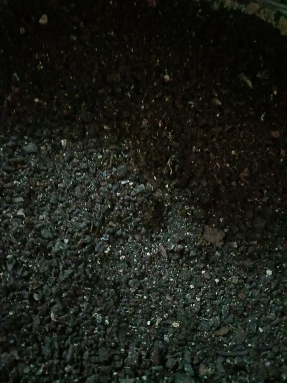 Adubos e terras naturais 