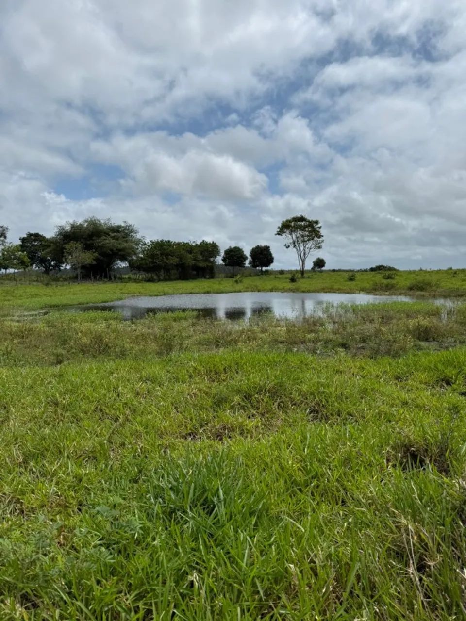 Sítio para Venda em Flexeiras, Zona Rural - Foto 2