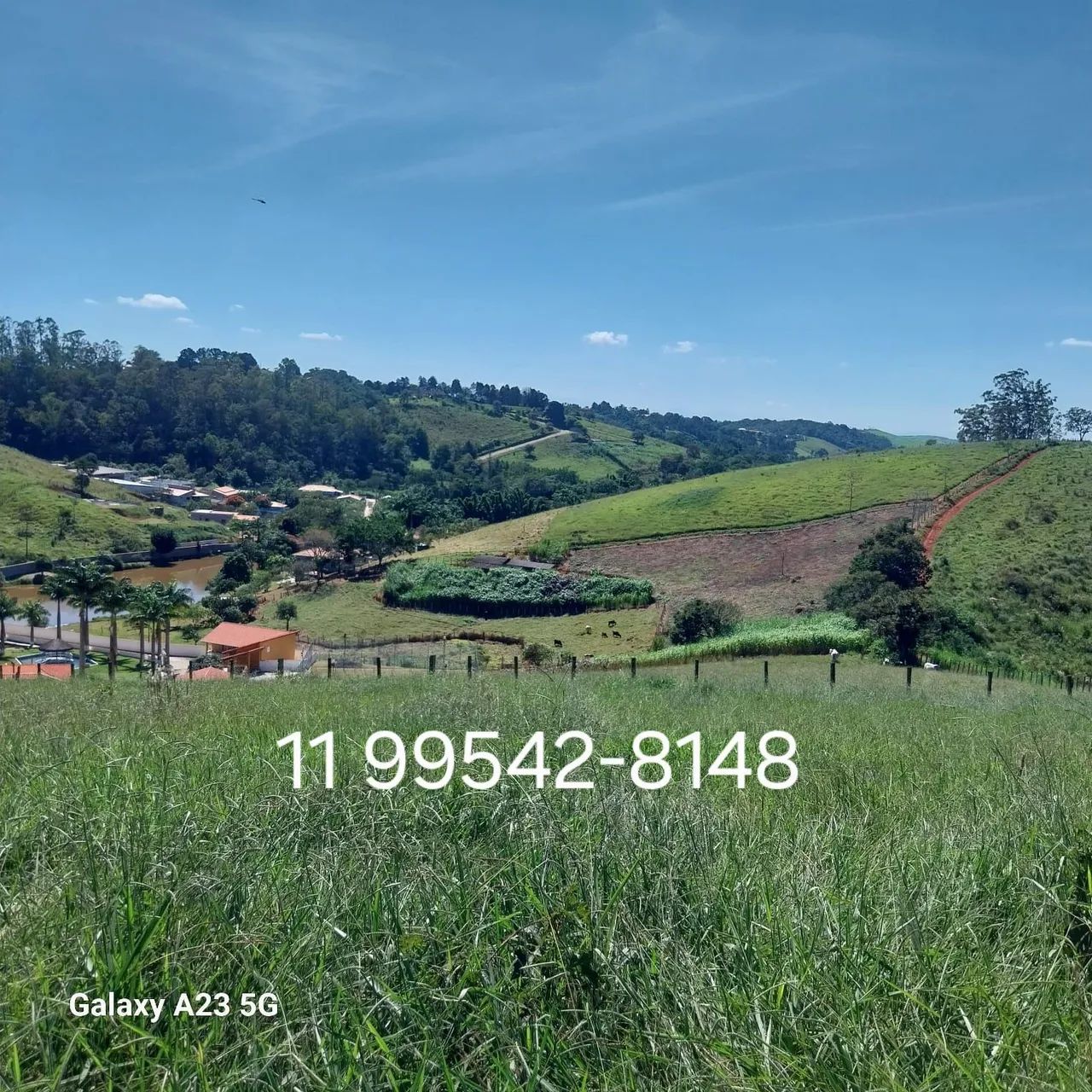 Terreno em Santa Isabel 1000m² - Sítio, Chácara, Casa - Foto 4