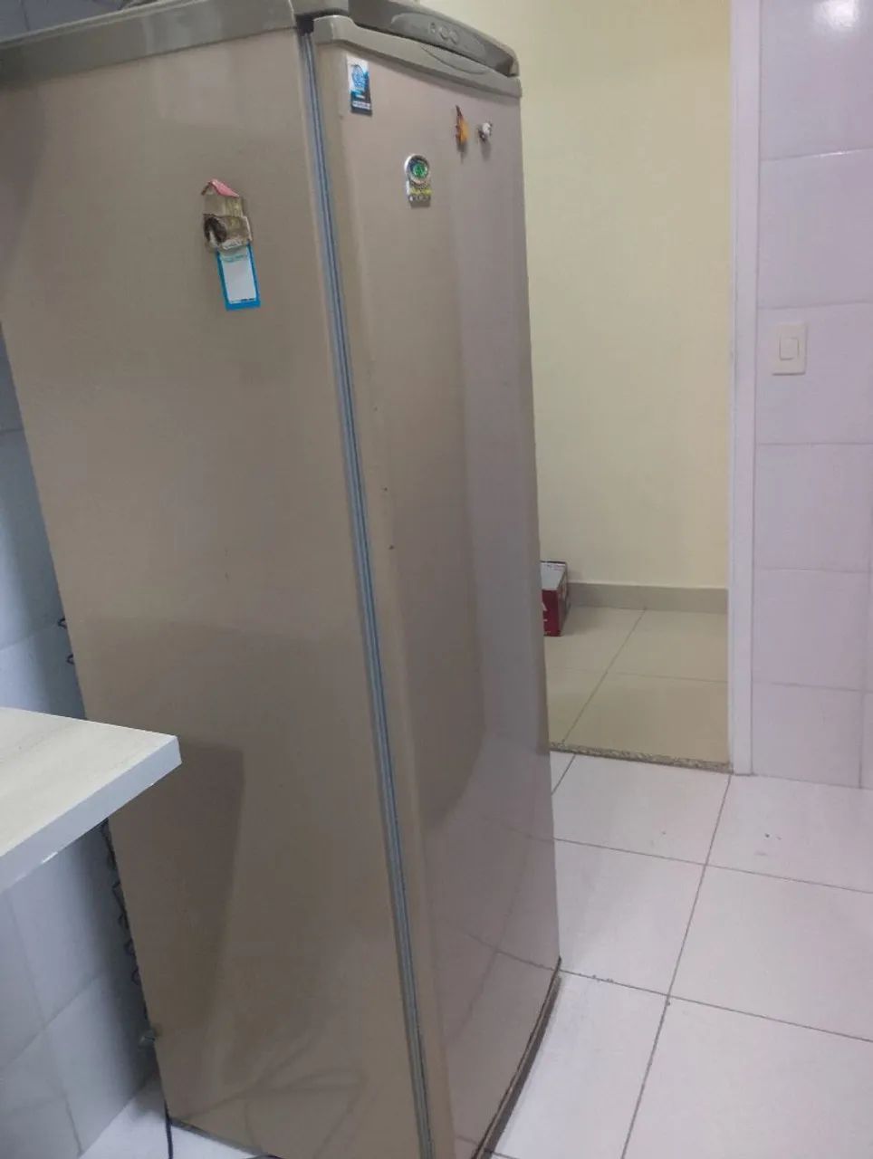 Freezer Vertical Eletrolux. NAO FAZEMOS ENTREGA 