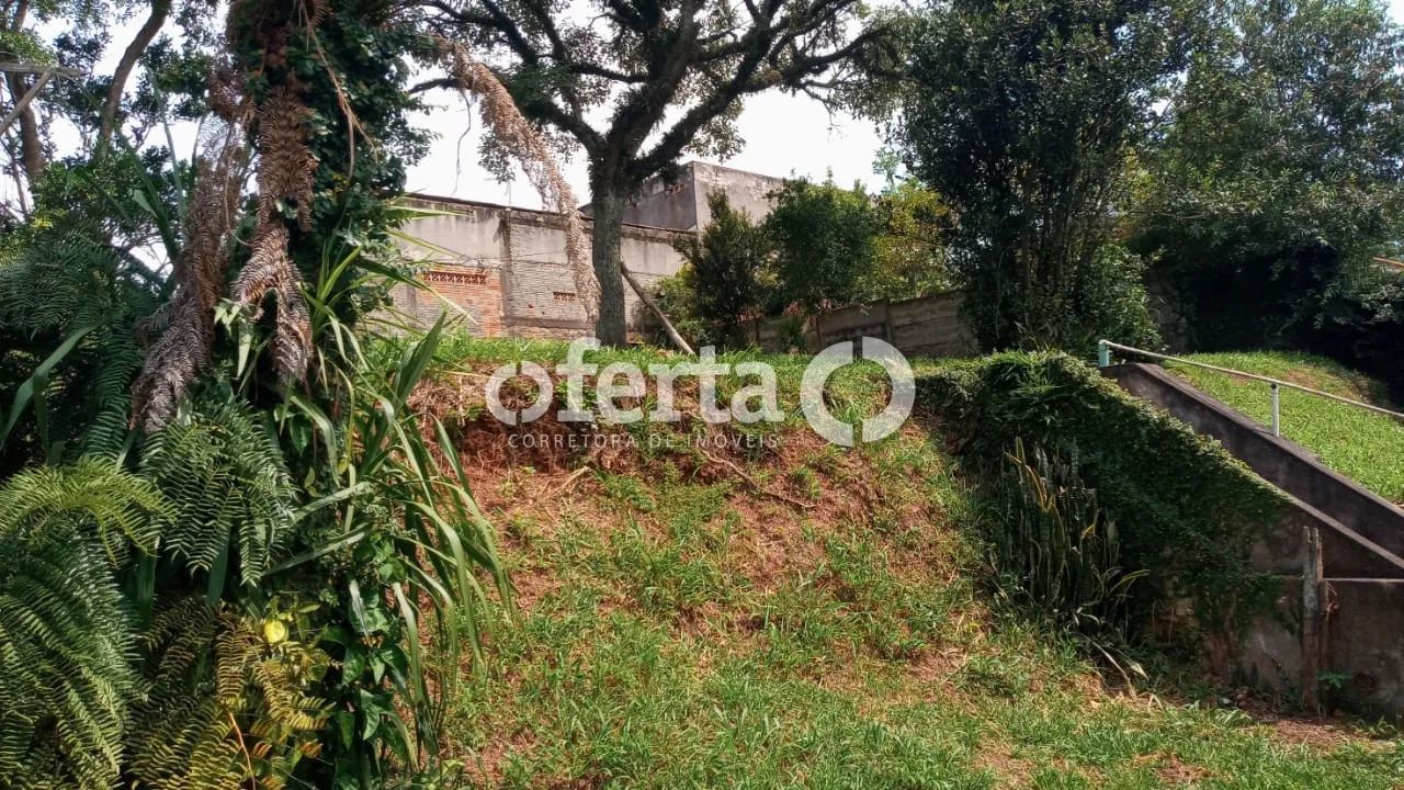 Casa / Terreno no Centro de Canoinhas - Foto 5