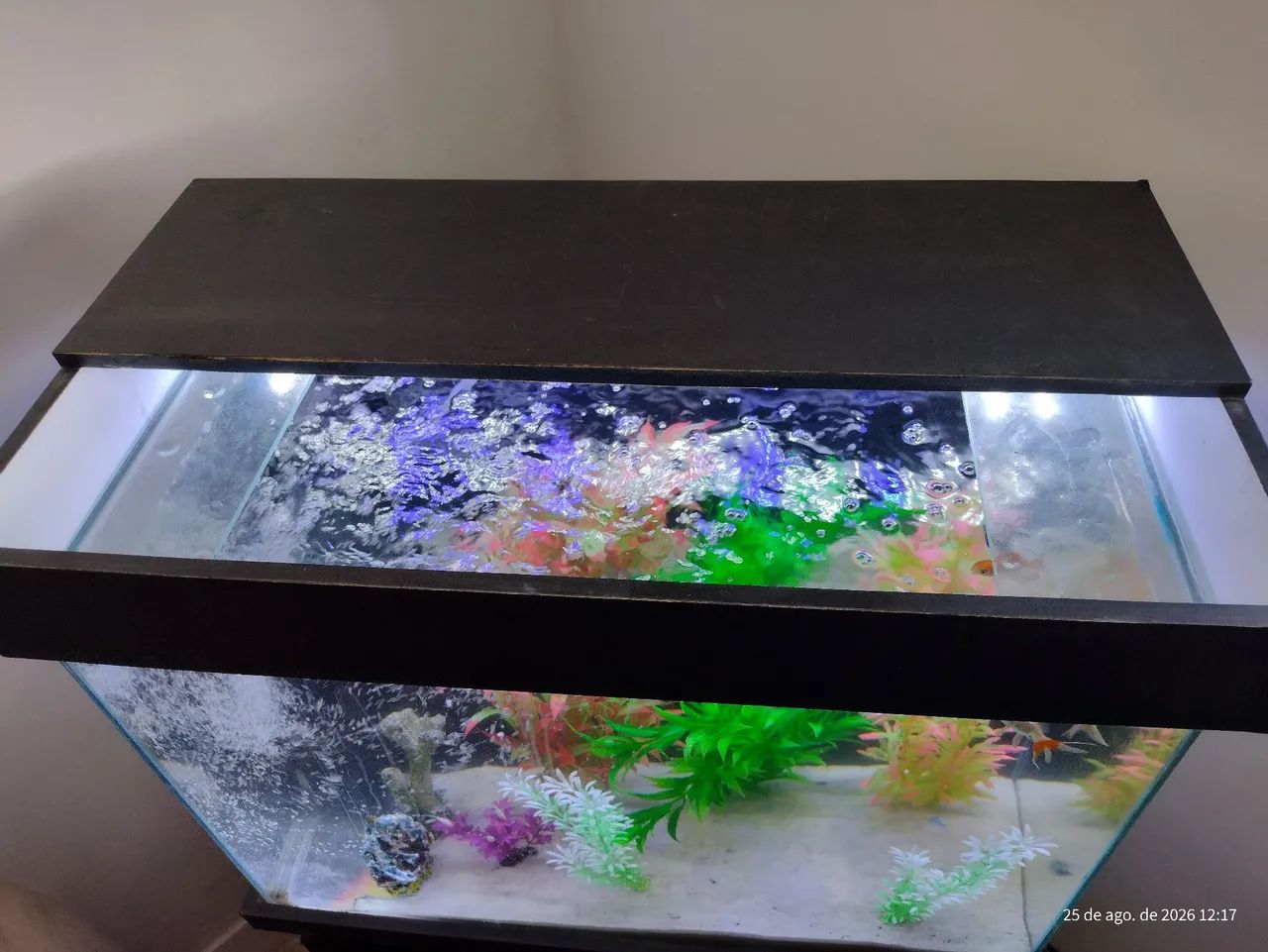 Aquário Super Conservado e Completo! - Foto 4