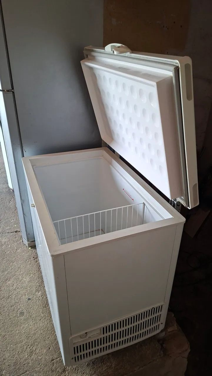 Friser 311 litros marca feicon - Foto 4
