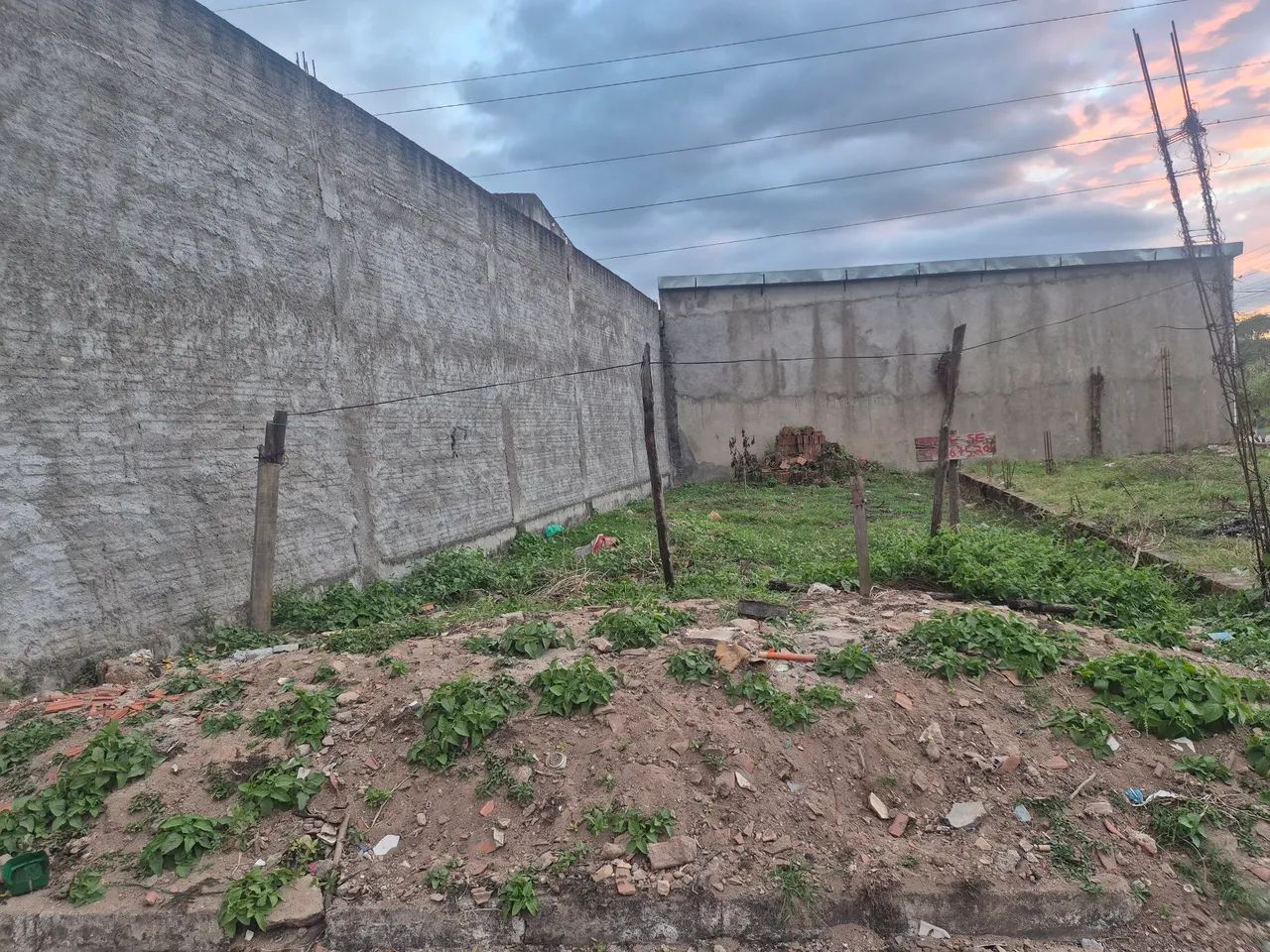 TERRENO 