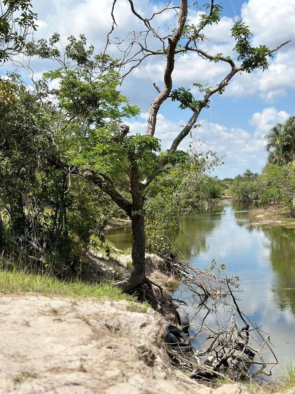 Com documentos em dias.