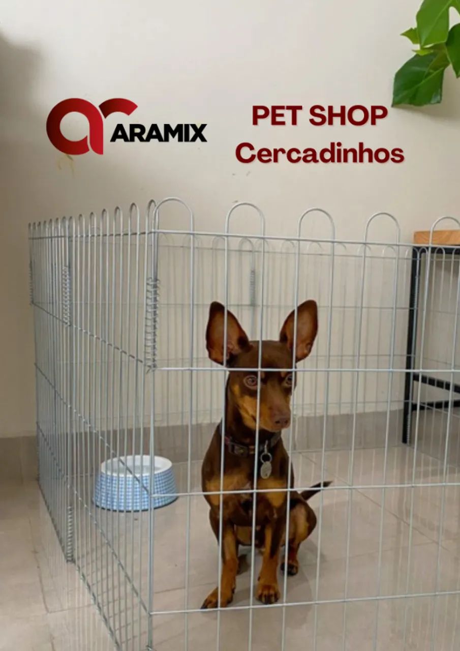 Cercadinho pets 
