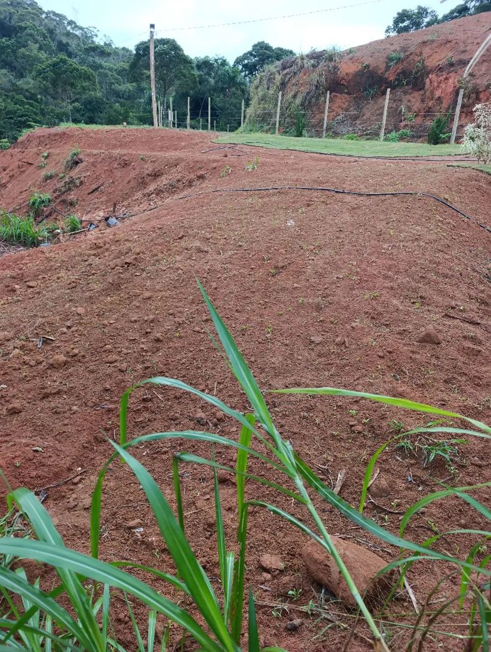 Sitio5.000m²comunida holandinha... - Foto 3