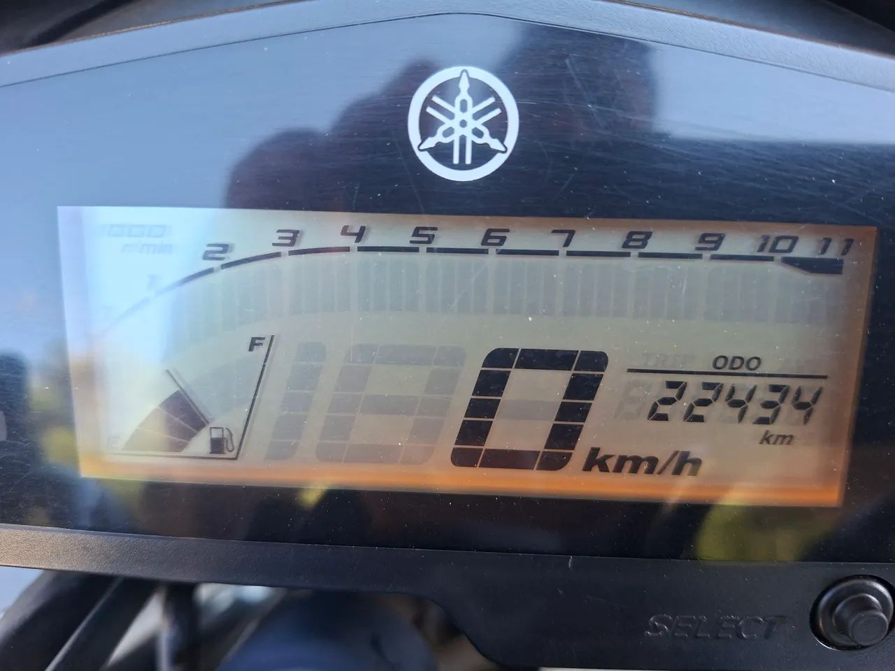Fz25 2019 - Foto 5