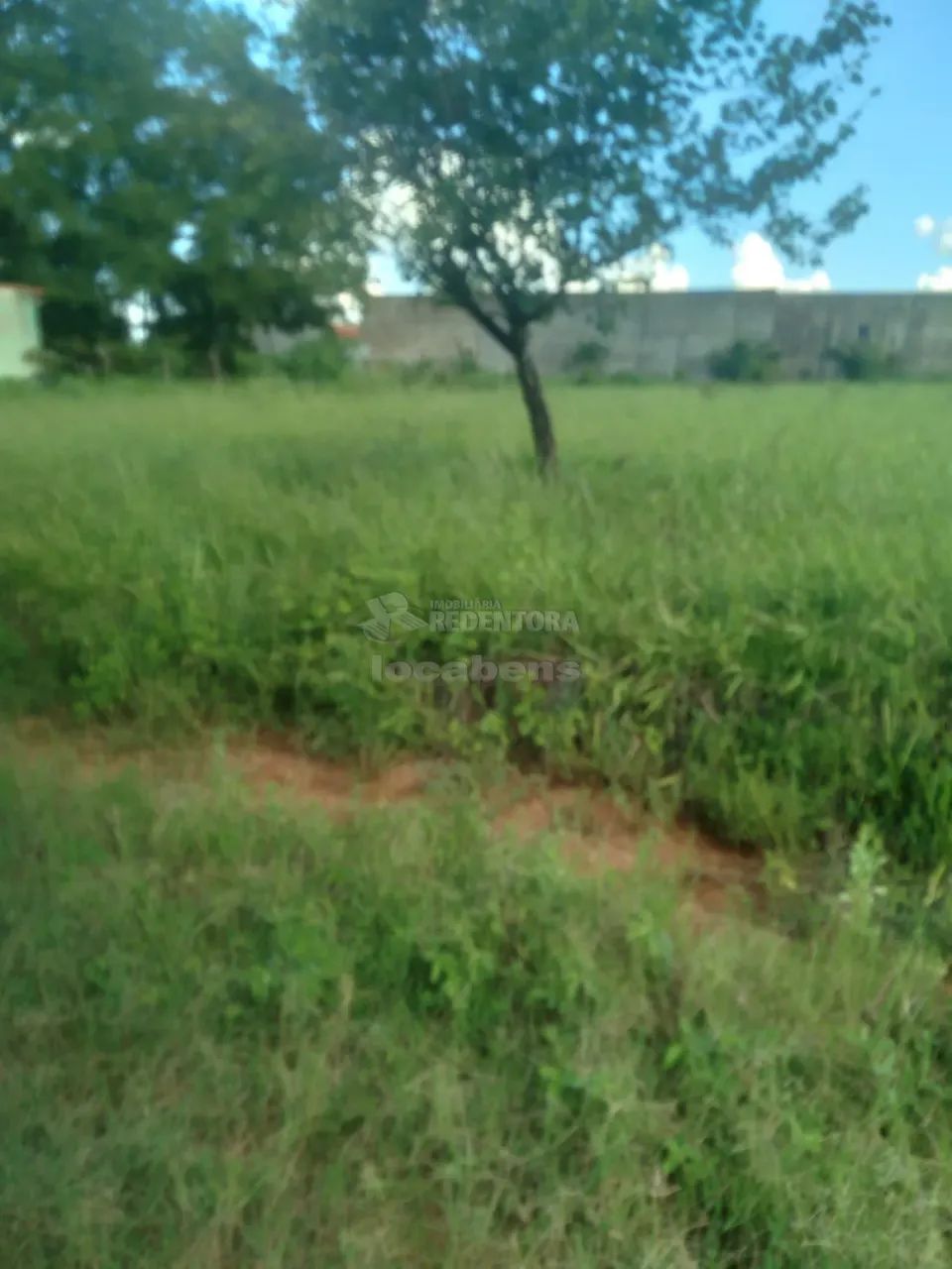 Terreno Área em Fronteira - Foto 2