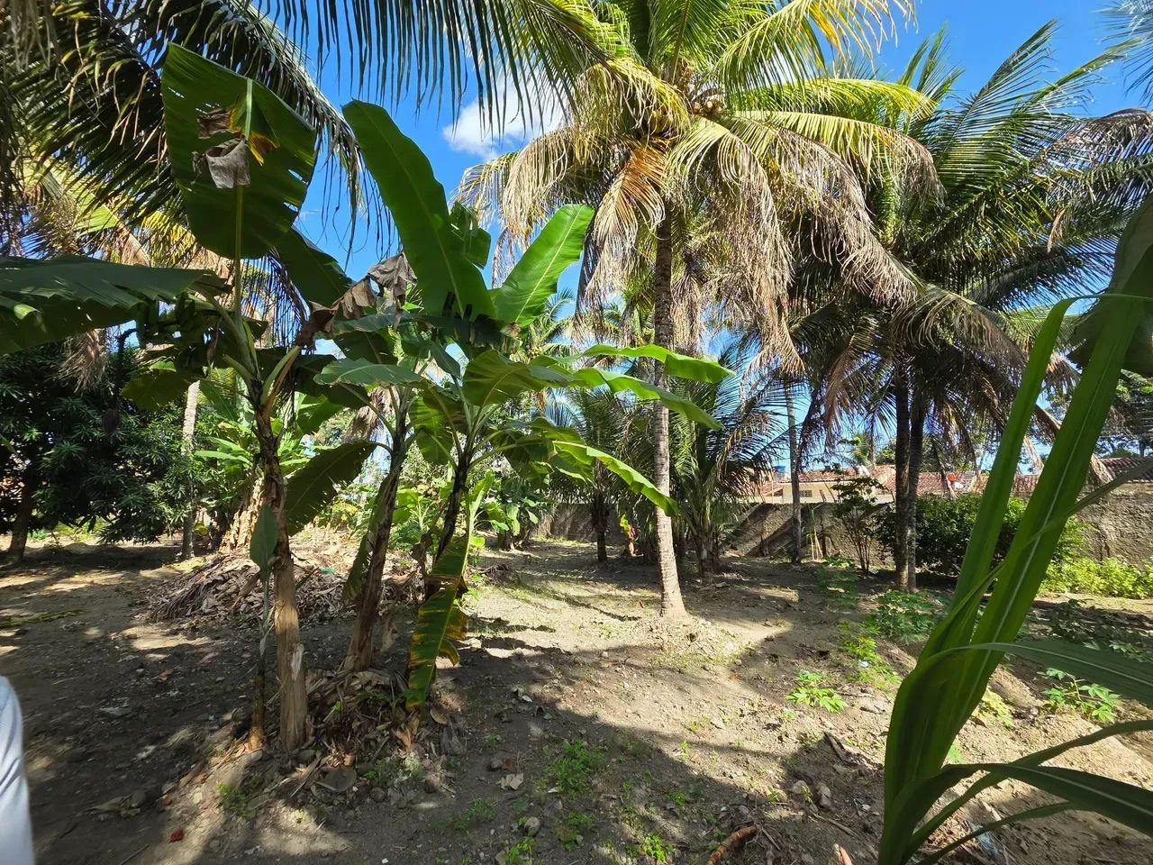 Vendo Sitio medindo 50x75, no Tabuleiro,  Maceió-AL. - Foto 5