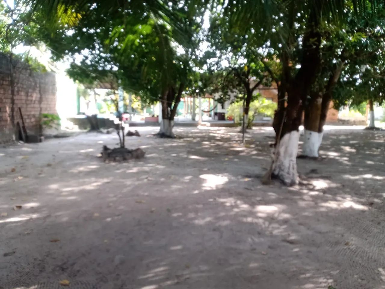 Sitio, chácara,  casa - Foto 2